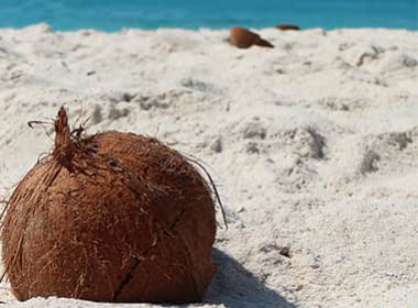 Les bienfaits de l'eau de coco