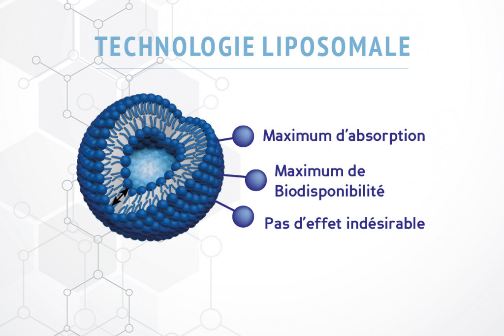 Avantage de la technique Liposomal dans les compléments alimentaires