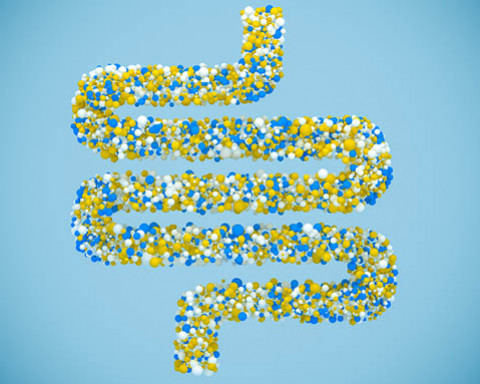 Booster son apport en microbiote pour garder la santé