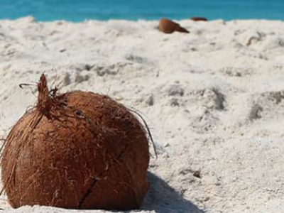 Les bienfaits de l'eau de coco