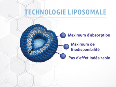 Avantage de la technique Liposomal dans les compléments alimentaires