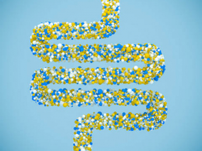 Booster son apport en microbiote pour garder la santé