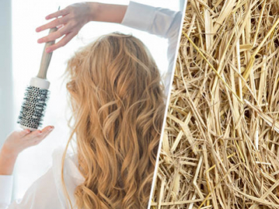 Quels soins pour des cheveux secs et abîmés ?