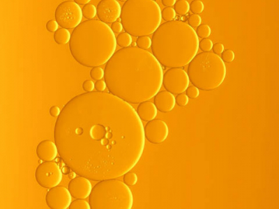 Comment fonctionne les Omega 3 ?